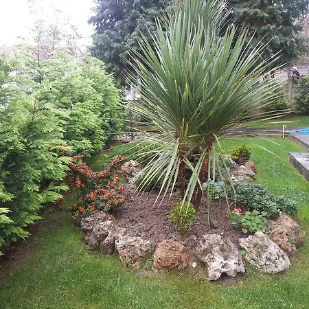 Appart hôtel Snow Hill Boutique Hotel&apart Masukiye