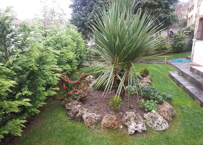 Apartahotel Snow Hill Masukiye